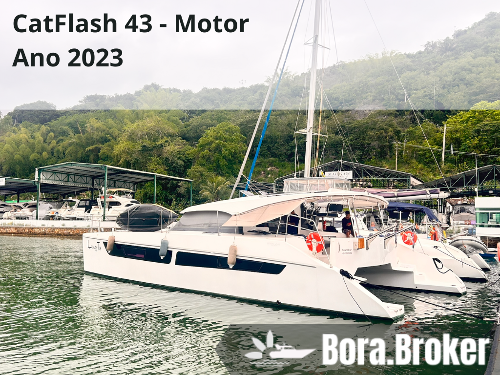 Power CatFlash43 - 2023